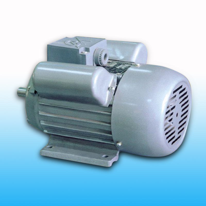 YL系列雙值電容異步電機(jī)