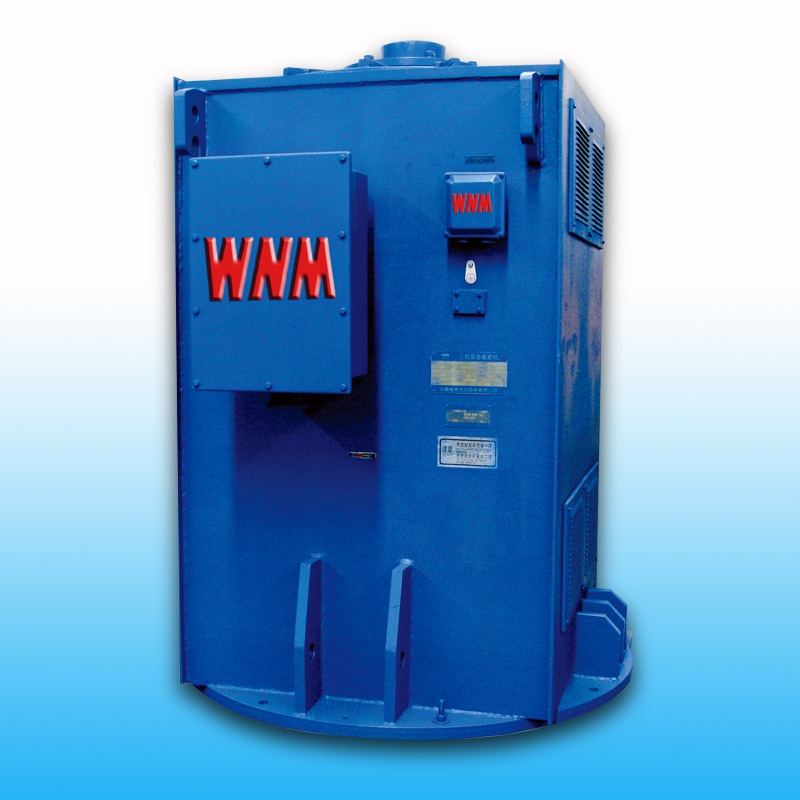 【高效】YL、YLKK系列立式電機(jī)（6KV/10KV）